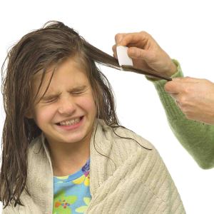 combing out head lice