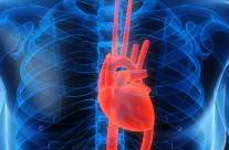 5 Tips for Preventing Heart Disease