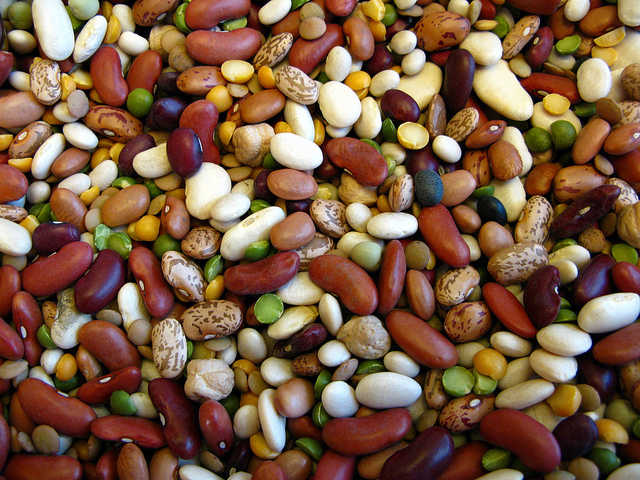 assorted beans used to lower cholesterol levels