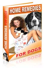 Home Remedies for Dogs