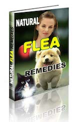 Natural Flea Remedies