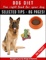 Dog Diet - The Right Food for Your Dog