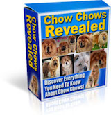 chowchow ebook cover