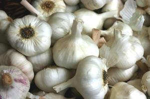 Garlic-bulbs