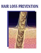 Hair Loss Prevention - ebook cover