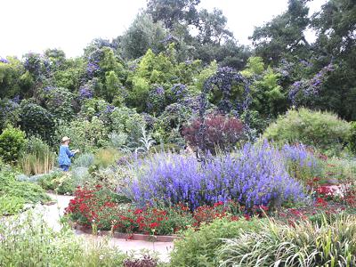 Beautiful Herb Garden