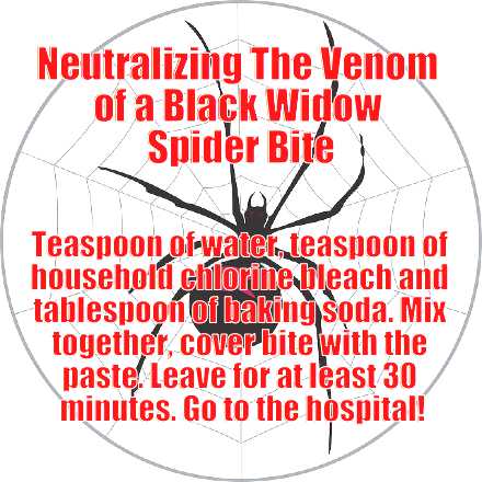 black widow bite - meme
