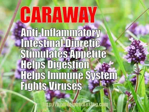 caraway health benefits meme