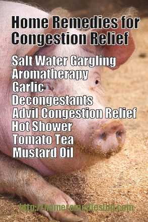 home remedies for congestion relief - meme