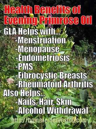 evening-primrose-oil meme