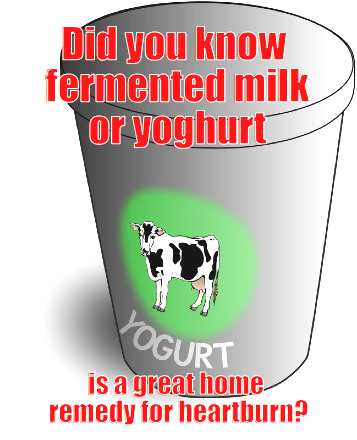 fermented-milk