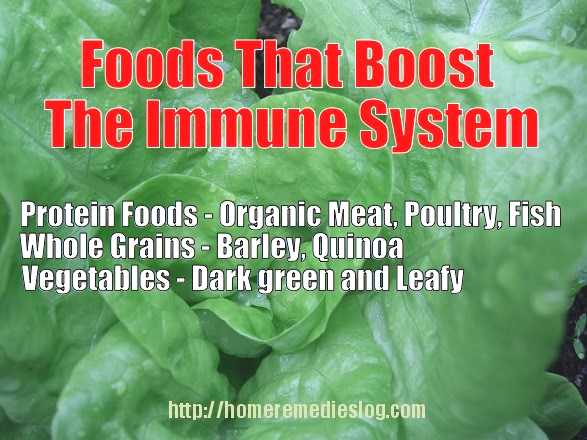 immune system foods - meme