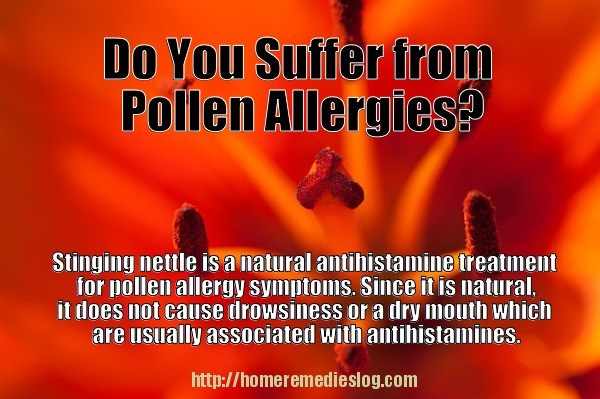 Stinging Nettle for pollen allergy - meme