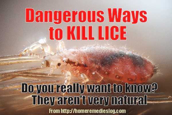 How to Get Rid of Lice – Effective Home Treatments for Lice Eradication
