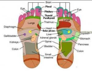 Foot_Vital_Point_Reflexology