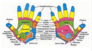 Hand_vital_point_reflexology