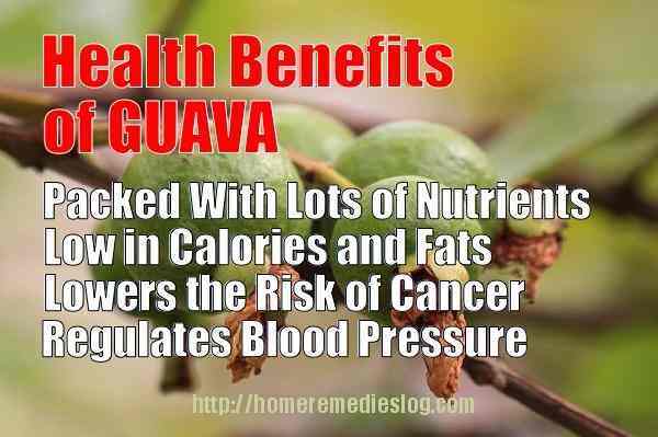 Guava – Medicinal Benefits
