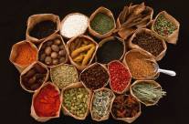 Herbal Medicine – Use of Herbs in Daily Life