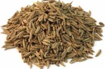 Caraway – Health Benefits and Information