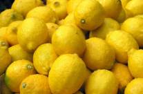 Lemon – Good for the Kitchen and the Health!