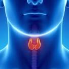 Home Remedies For Treating Thyroid Problems