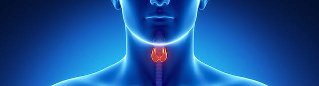 Home Remedies For Thyroid Problems