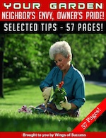Your Garden – Neighbor’s Envy, Owner’s Pride!