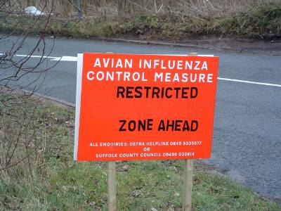 Avian_Influenza_(_Bird_Flu_)_Sign_-_geograph.org.uk