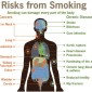 Quitting Smoking – Benefits and Body Health Timeline