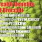 Broccoli – Nutrient Dense Vegetable Offering Multiple Health Benefits