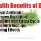 Dill – Medicinal Health Benefits
