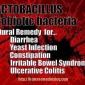 Lactobacillus – Healthy Probiotic Bacteria