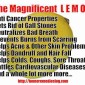 Lemon – Good for the Kitchen and the Health!