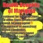 Marigold or Calendula -The Medicinal Properties